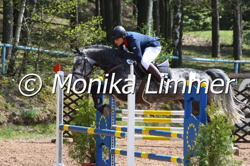 004M1931_Castillo de la Vega_Springpferde A xx.JPG